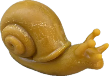 Bougie escargot en cire d'abeille